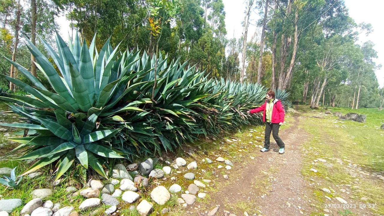 Pousada Villa Huaripampa Jauja Εξωτερικό φωτογραφία