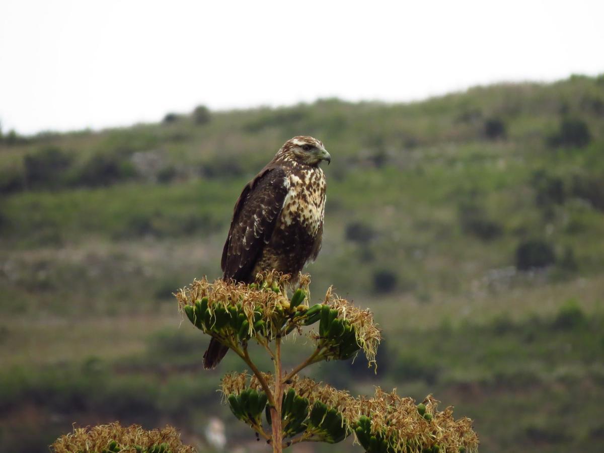 Pousada Villa Huaripampa Jauja Εξωτερικό φωτογραφία